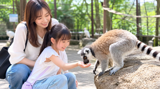 触れ合い体験_Farm_in_the_city